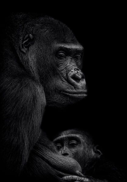 Gorilla vrouw met jong par Ron Meijer Photo-Art