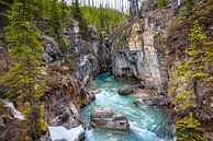 Marble canyon, Kootenay National Park, Canada van Rietje Bulthuis thumbnail