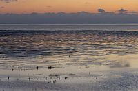 Waddenzee bij Westhoek