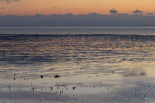 Wattenmeer bei Westhoek