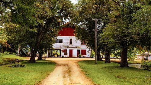 Old house at Plantage Katwijk near Paramaribo in Suriname