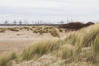 View of Maasvlakte 2 from beach Oostvoorne