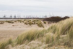 Uitzicht op de 2e Maasvlakte vanaf strand Oostvoorne van André Hamerpagt