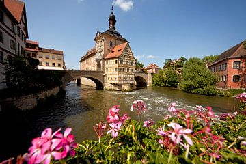 Het oude stadhuis van Bamberg van Peter Schickert