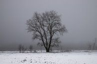 a winter landscape van Koen Ceusters thumbnail