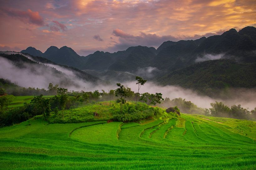 The Beautiful Rice Fields of Pu Luong, Vietnam by Antwan Janssen