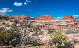 Schöne Sicht auf die Tafelberge im Canyonlands National Park, Utah