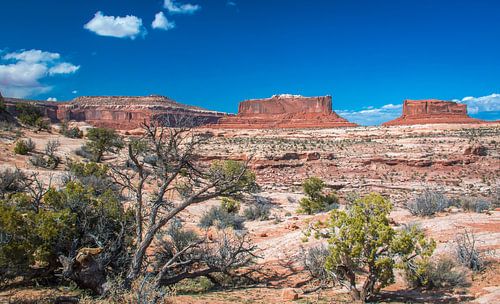 Mooi zicht op deTafelbergen in Canyonlands NP, Utah