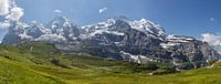 Panorama Jungfrau Region van Bart van Dinten thumbnail