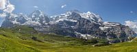 Panorama Jungfrau Region