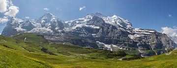 Panorama Jungfrau Region by Bart van Dinten