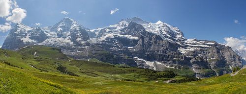 Panorama Jungfrau Region