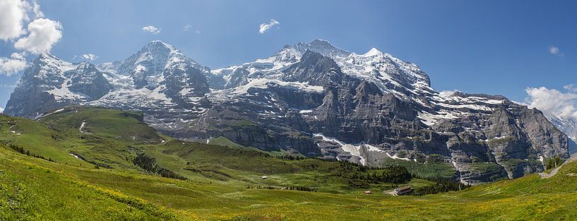 Panorama de la région de la Jungfrau par Bart van Dinten