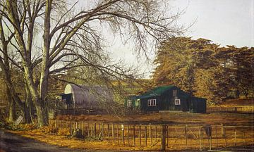 The Green Barn by Marina de Wit