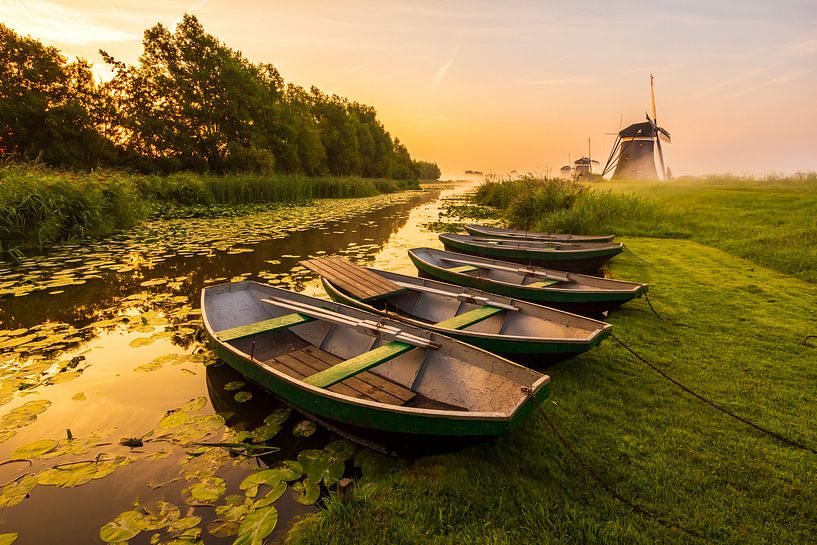 Autumn Rising von Sander Meertins