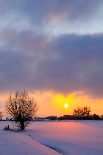 Winterlandschap in de delta van de IJssel bij Kampen