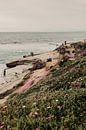 California Dreaming: La Jolla Beach Bliss van Amber den Oudsten thumbnail