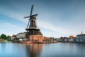 Haarlem - de Adriaan