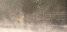 Bridge in the morning mist by Guido Rooseleer