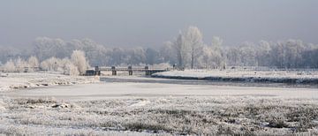 winterzicht op het kippenbruggetje bij de Mark in Breda van Peter Smeekens