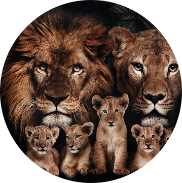 Leeuwen gezin met 5 welpen