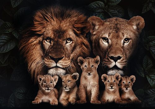 Famille de lions avec 5 petits sur Bert Hooijer