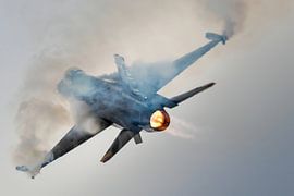 Belgian Viper von Nildo Scoop