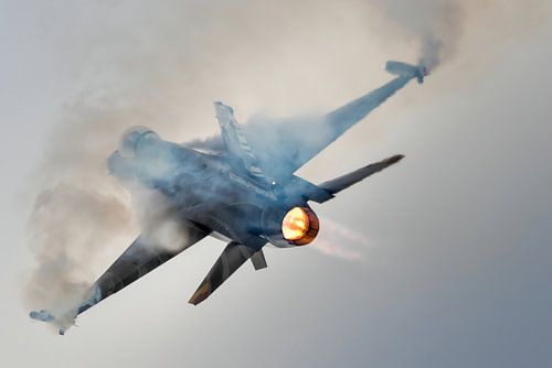 Belgian Viper