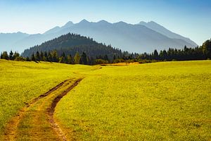 Soierngruppe am Morgen