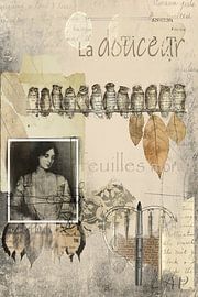 La douceur des feuilles mortes sur ahafineartimages