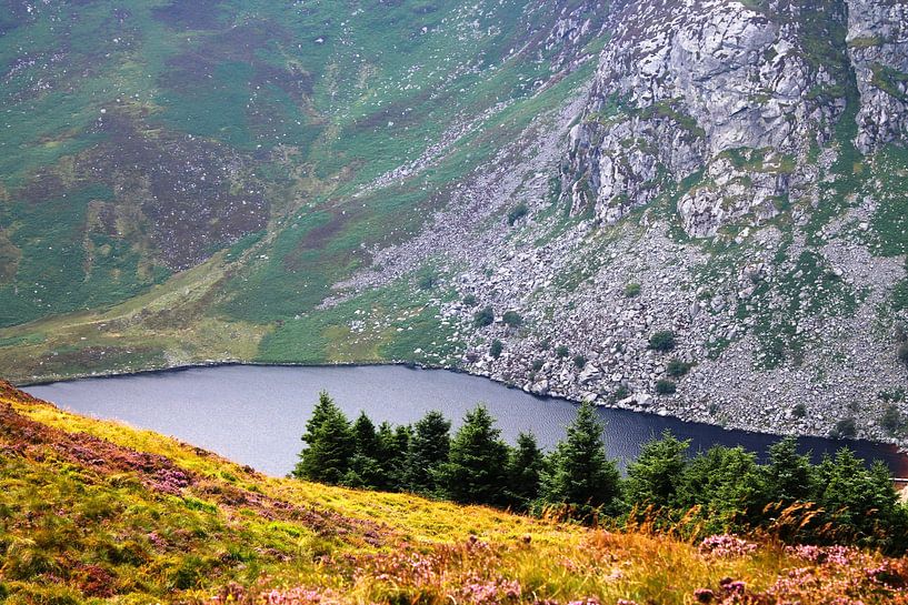 The Wicklow Way by Yria Meijer