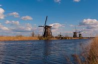 Kinderdijk Holland World Heritage van Brian Morgan thumbnail