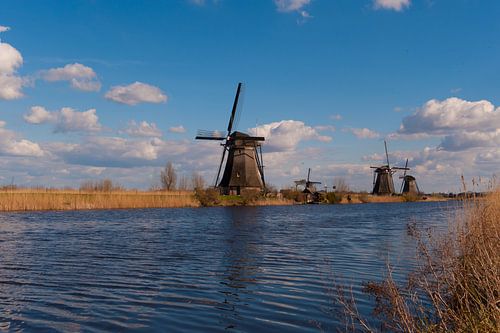 Kinderdijk Holland World Heritage