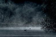 mistig meer in het bos met waterhoentjes van Jovas Fotografie thumbnail