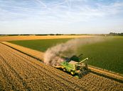 Combine oogst tarwe in de zomer van Sjoerd van der Wal Fotografie thumbnail