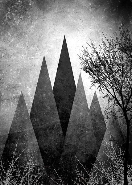 TREES VIII-a par Pia Schneider