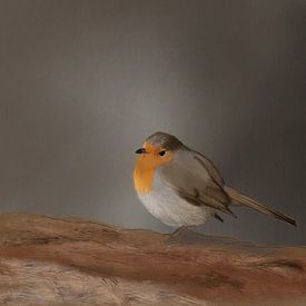 Lonely little robin by Emmy Van der knokke