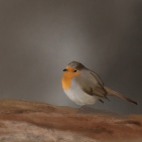 Petit rouge-gorge solitaire sur Emmie Van der knokke