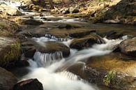 The river van Cornelis (Cees) Cornelissen thumbnail