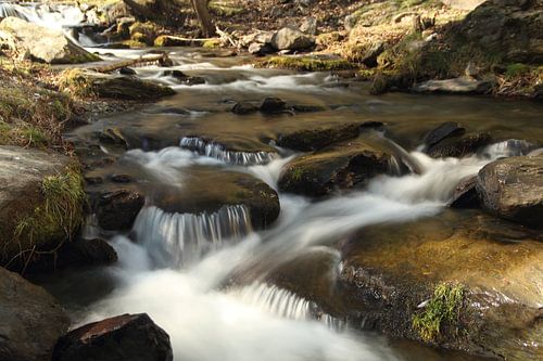 The river
