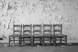 chairs by jose van dijk