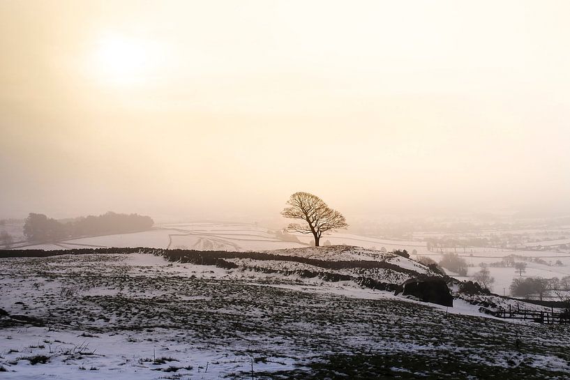 Winter in Peak District von Claire Droppert