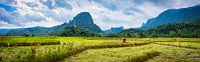 Working the land, Laos by Rietje Bulthuis thumbnail