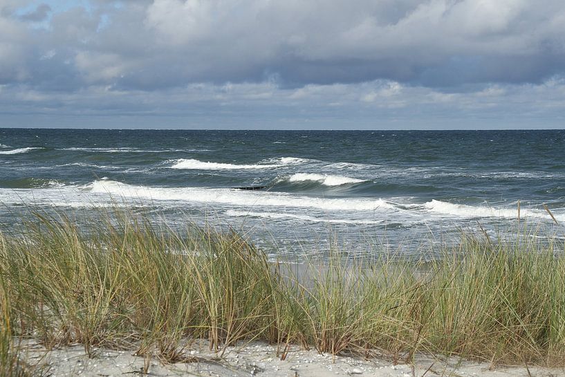 Fischland-Darss-Zingst: Am Strand von Anja Bagunk