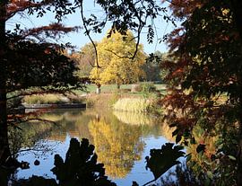 L'automne au bord du lac sur Matthias Brix