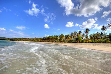 Bij Playa Rincon op het schiereiland Samaná van Roith Fotografie