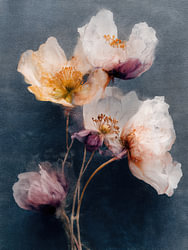 Velvet Bloom Nocturne