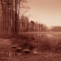 Stille Oversteek
