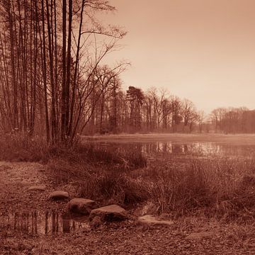 Stille Oversteek van Artist Impression of Nature