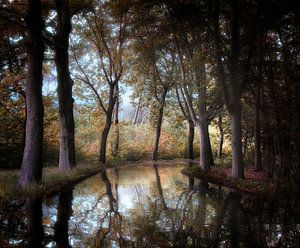 Schatten im Spiegel